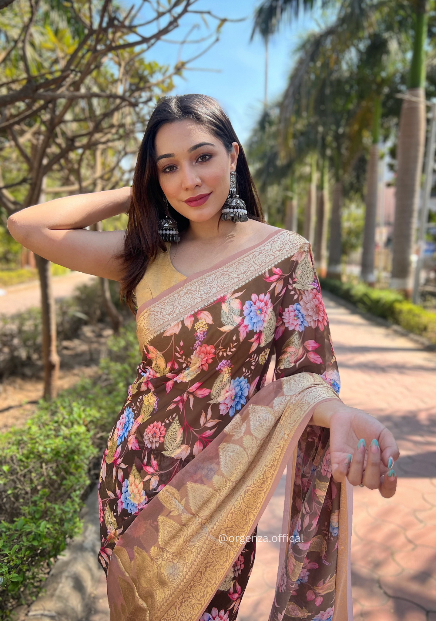 Brown Georgette Saree With Viscose Border