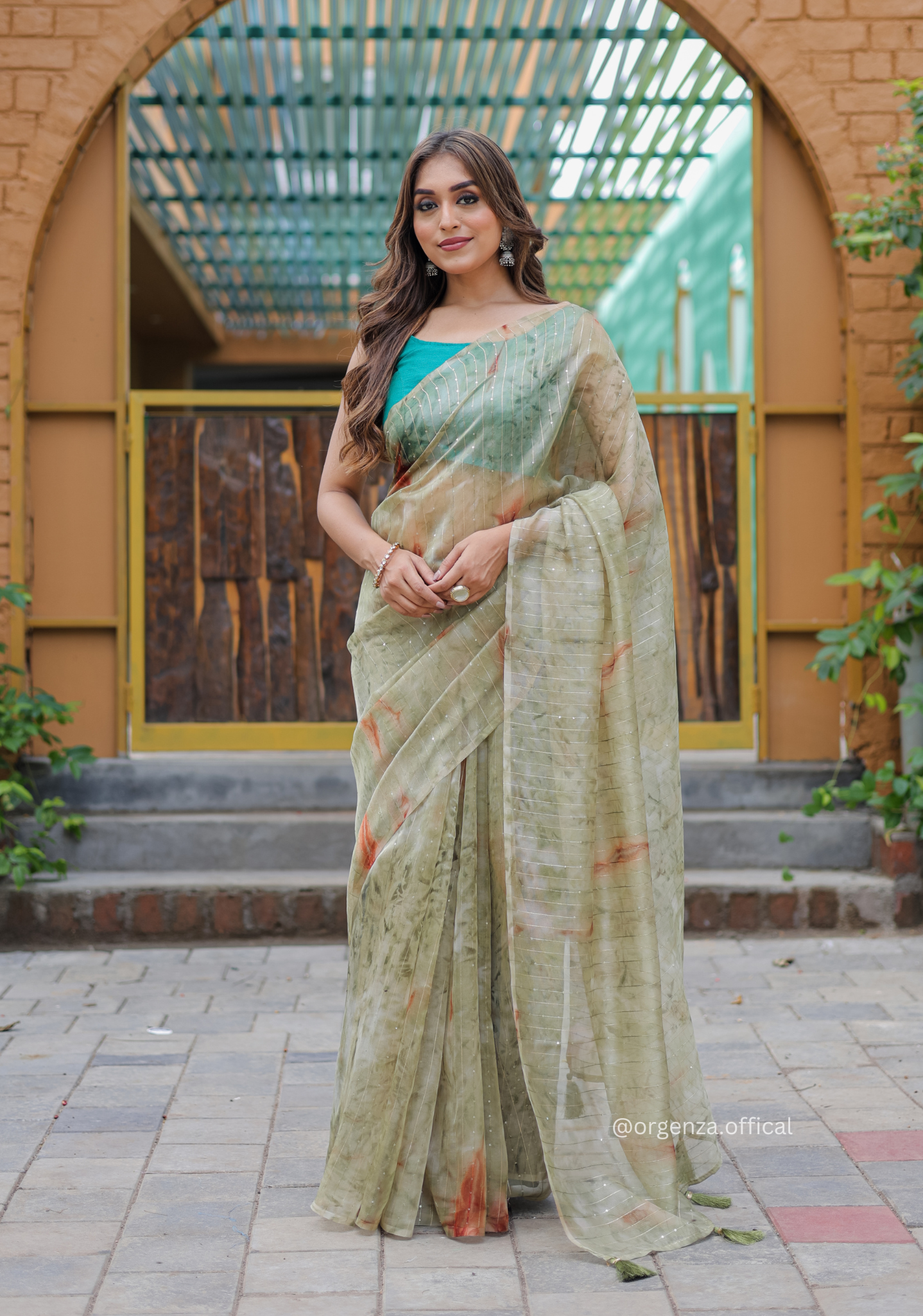 Organza Furr Saree With Sequence Lining - Orgenza Store