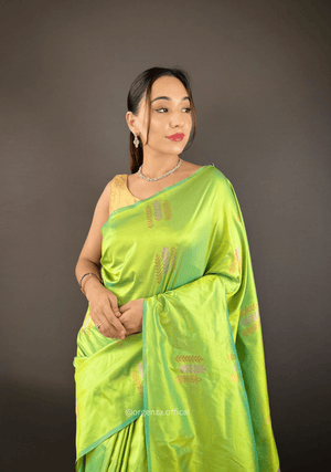 Pista Green Colour Silk Saree With Zari Weaving - Orgenza Store