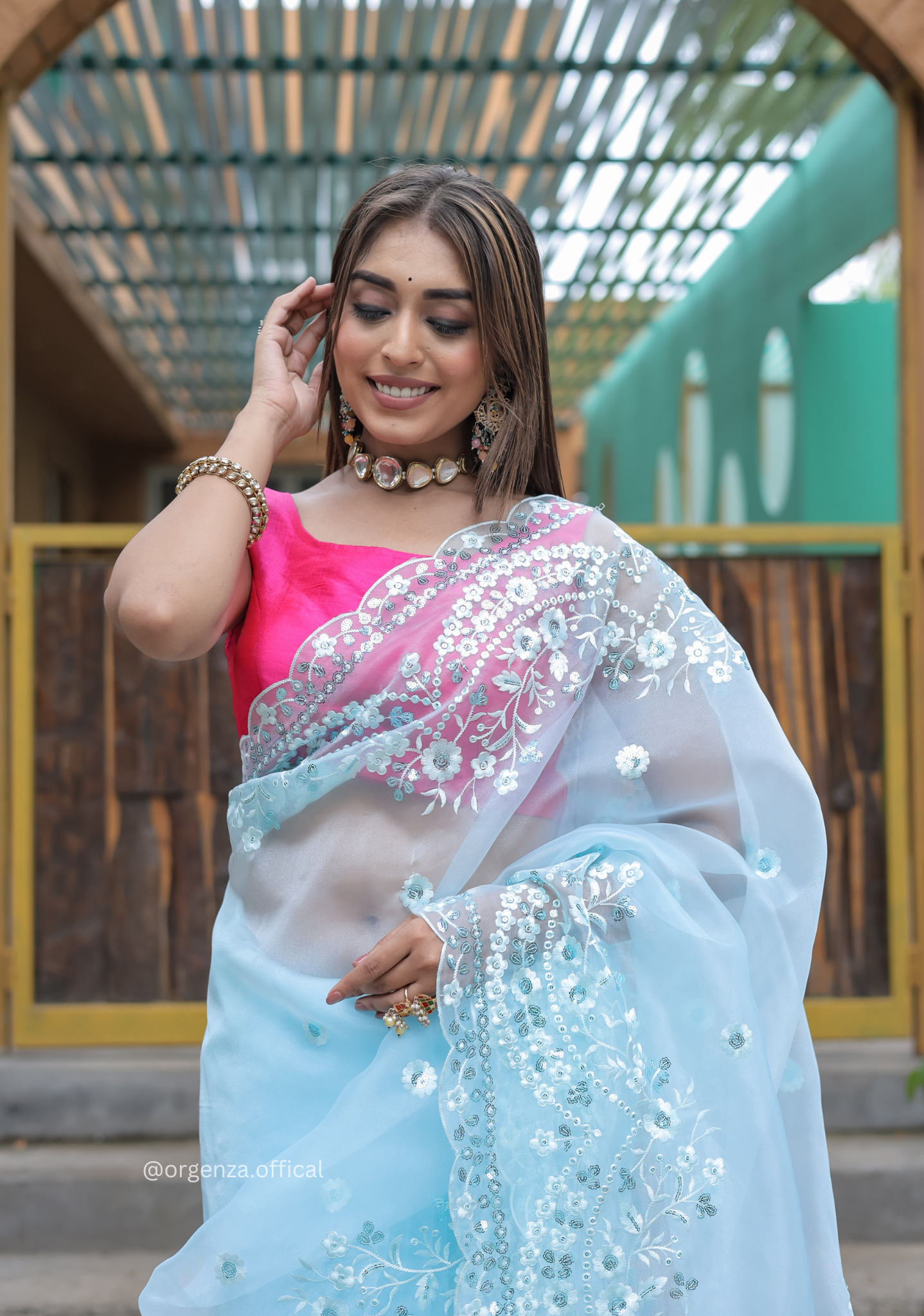 Sky Blue Soft Organza Saree With Sequence Work - Orgenza Store