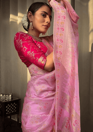 Lichi Silk Saree With Jacquard Zari Work - Orgenza Store - digisoch