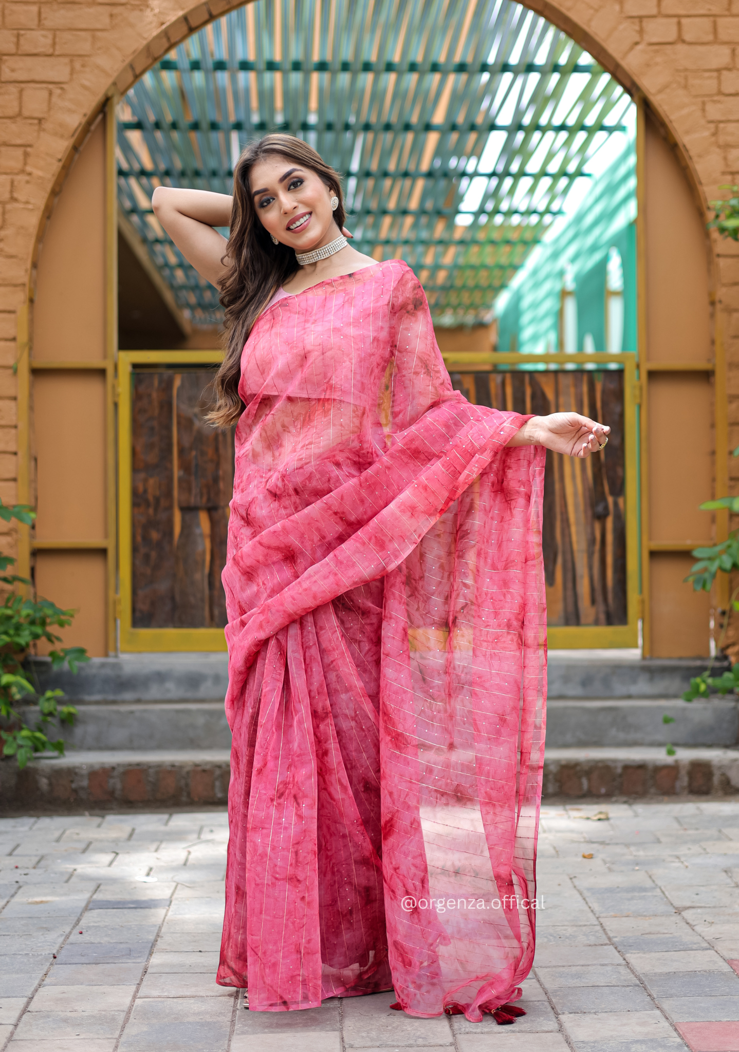 Organza Furr Saree With Sequence Lining - Orgenza Store