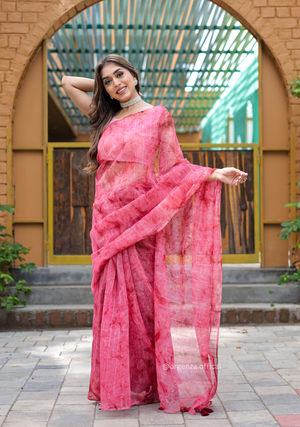 Organza Furr Saree With Sequence Lining - Orgenza Store - digisoch