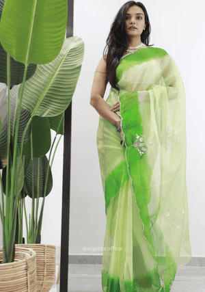 Green Colour Organza Silk Saree - Orgenza Store - digisoch