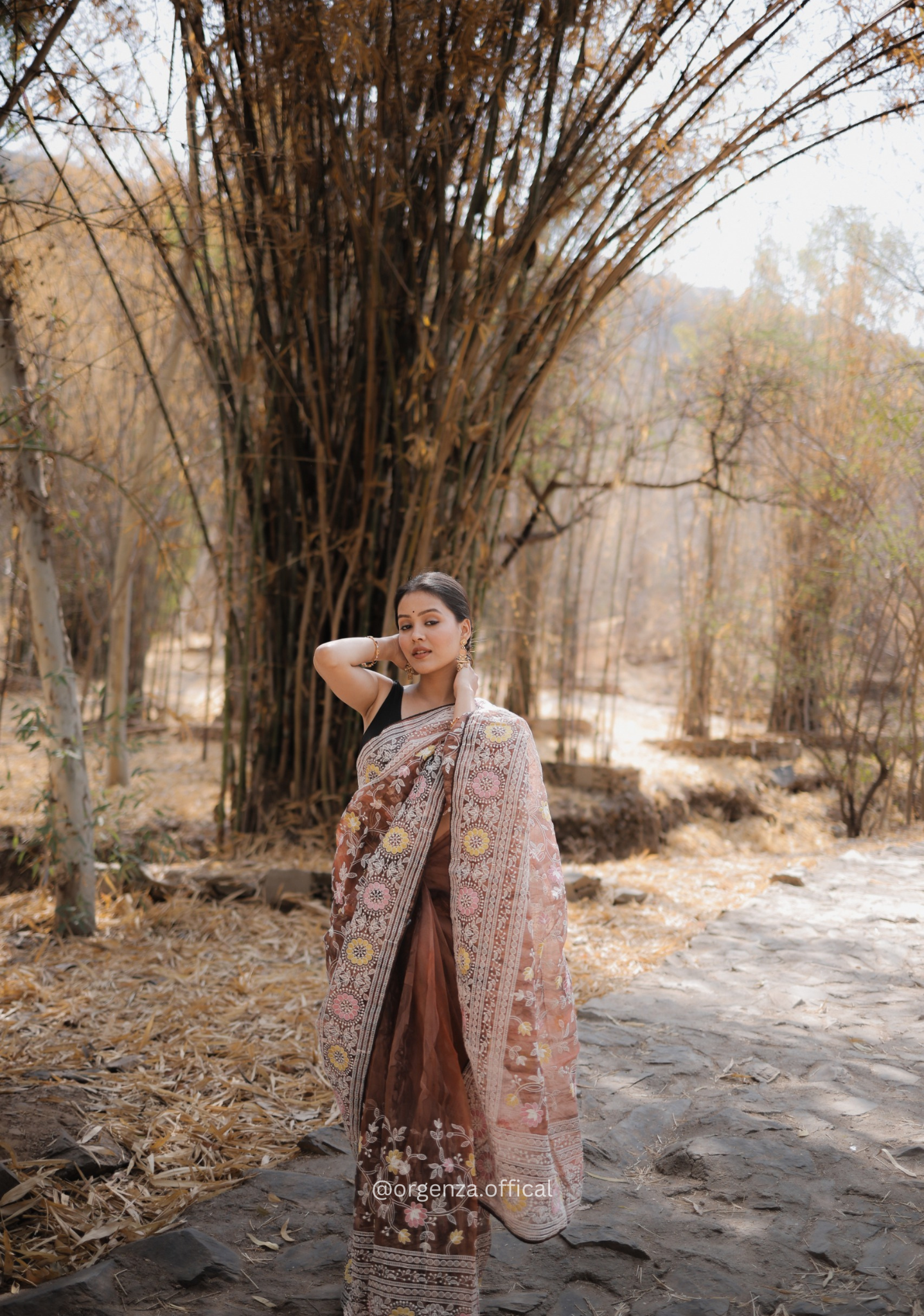 Organza Saree With Kashmiri Thread Work - Orgenza Store