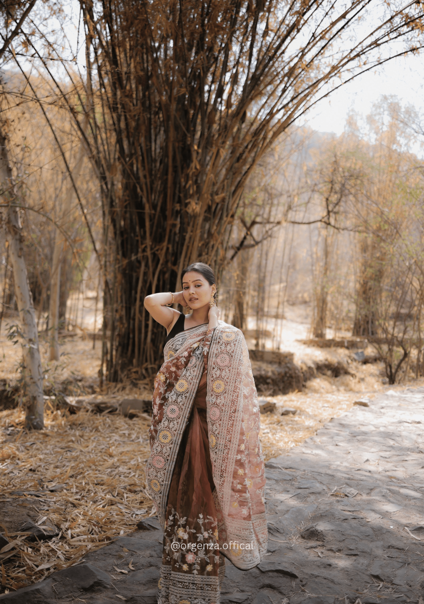 Organza Saree With Kashmiri Thread Work - Orgenza Store - digisoch