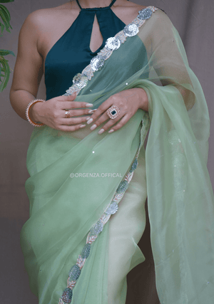 Pure Organza Saree With Fancy Lace Border - Orgenza Store - digisoch