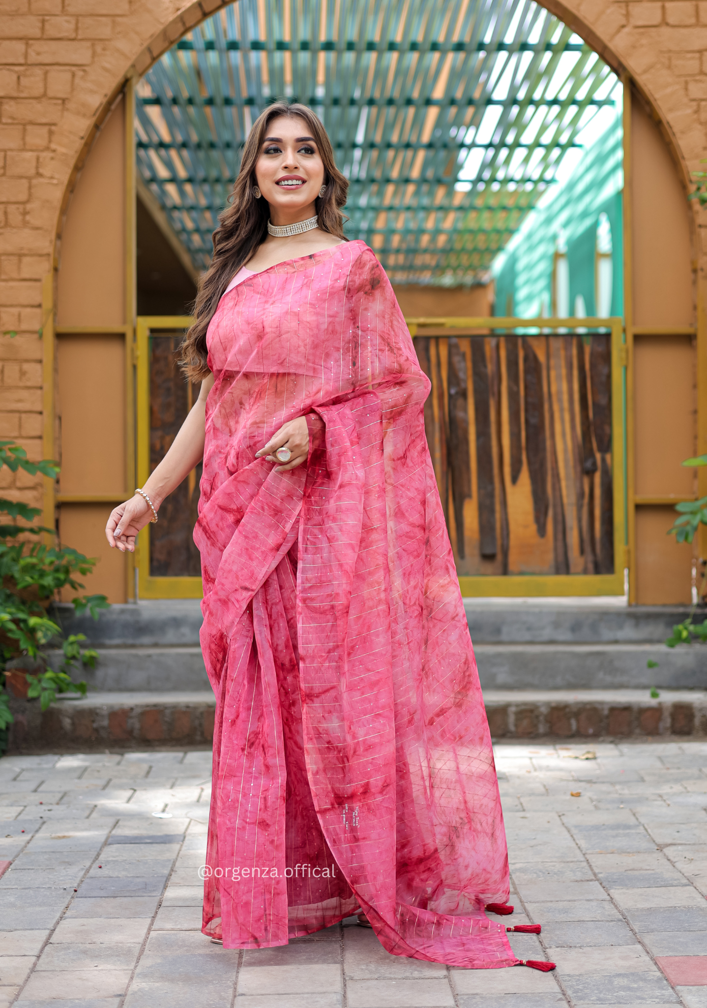 Organza Furr Saree With Sequence Lining - Orgenza Store