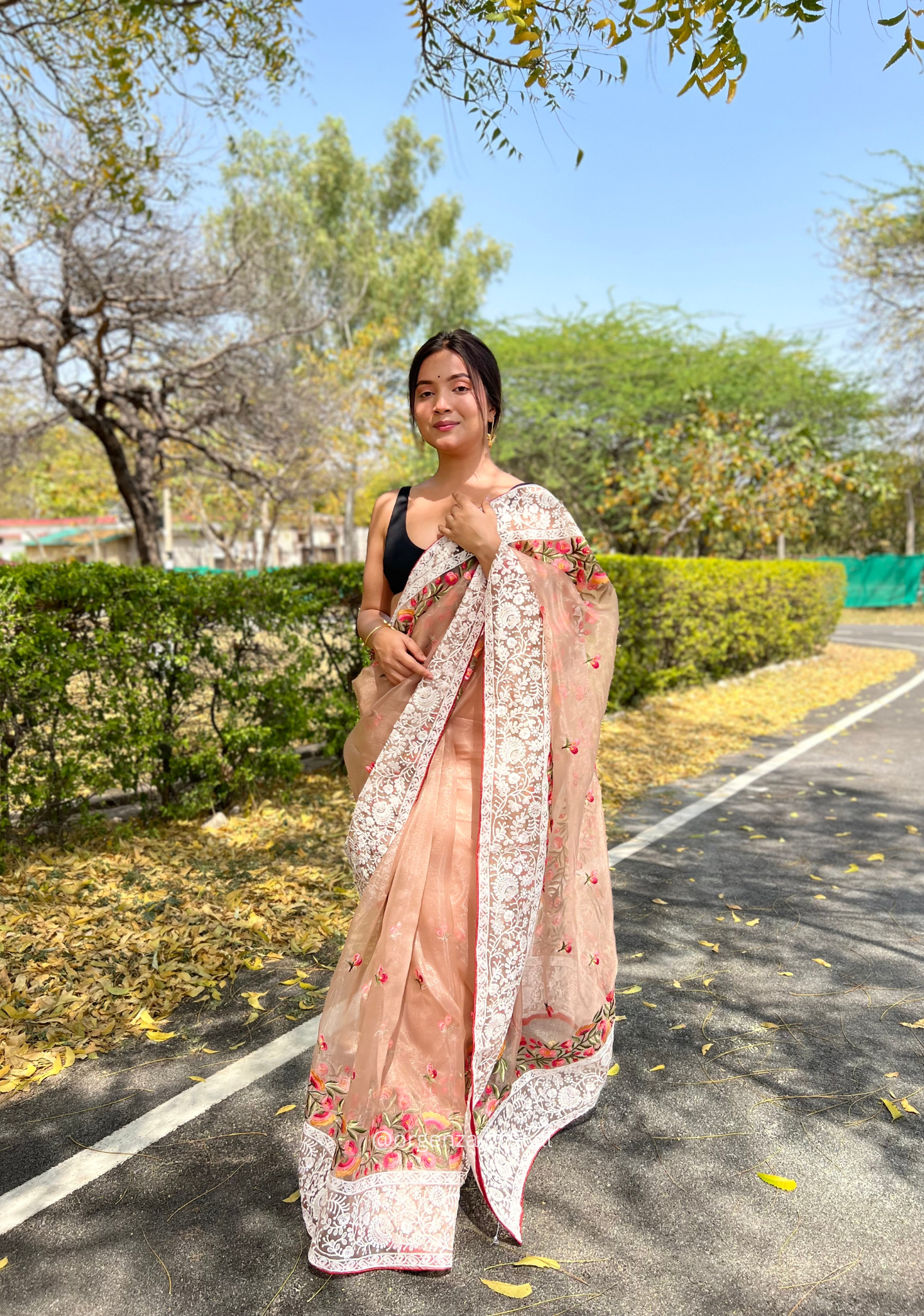 Brown Organza Saree With Chikankari Work - Orgenza Store