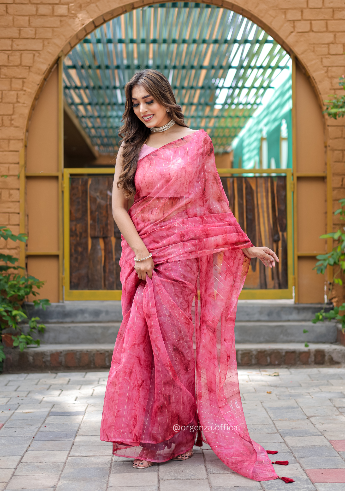 Organza Furr Saree With Sequence Lining - Orgenza Store