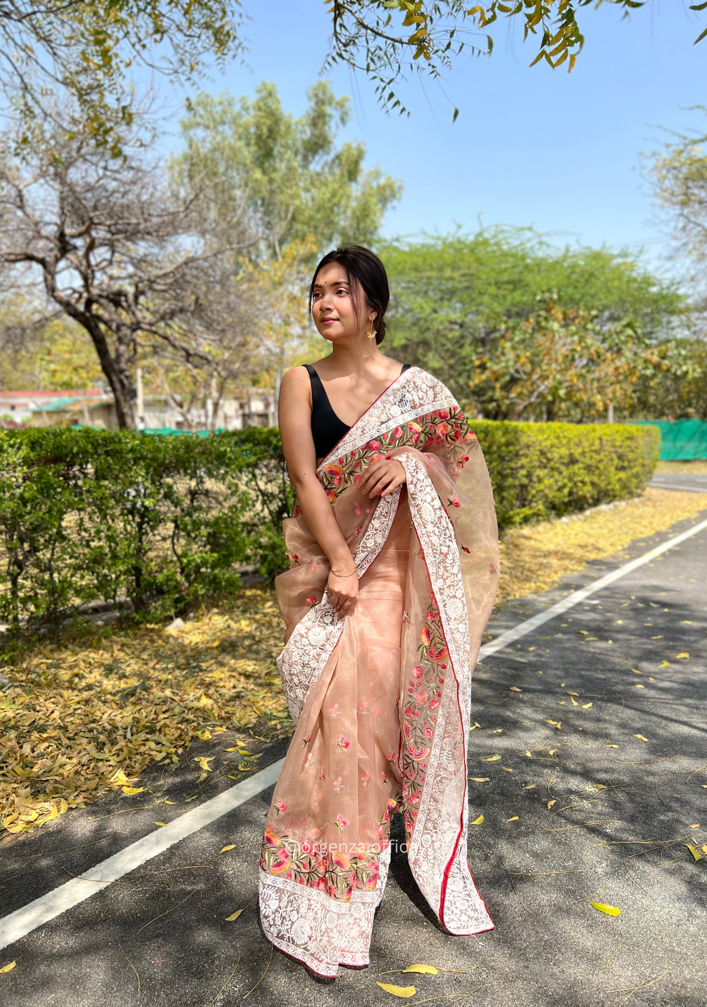 Brown Organza Saree With Chikankari Work - Orgenza Store