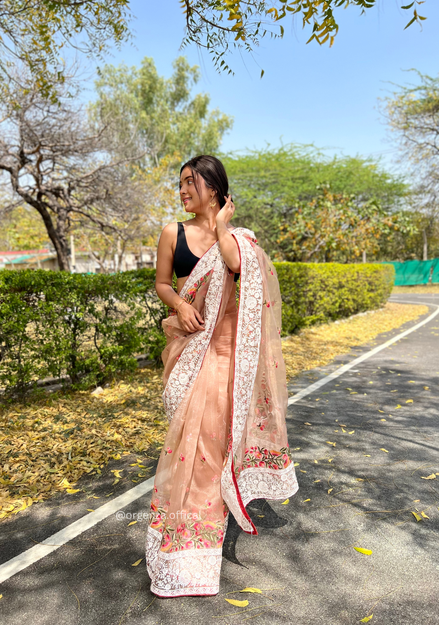 Brown Organza Saree With Chikankari Work - Orgenza Store