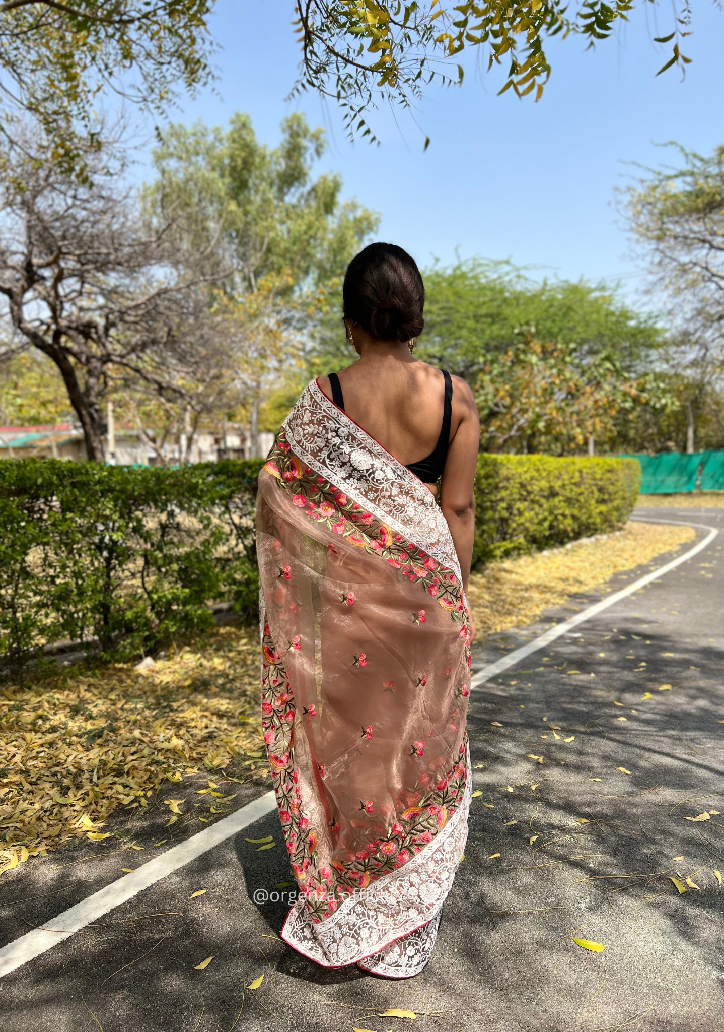 Brown Organza Saree With Chikankari Work - Orgenza Store