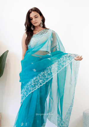 Sky Colour Embroidery Thread Work Saree - Orgenza Store - digisoch