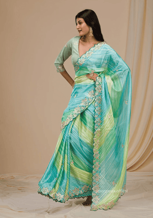 Multi Colour Chinnon Digital Print Saree - Orgenza Store - digisoch