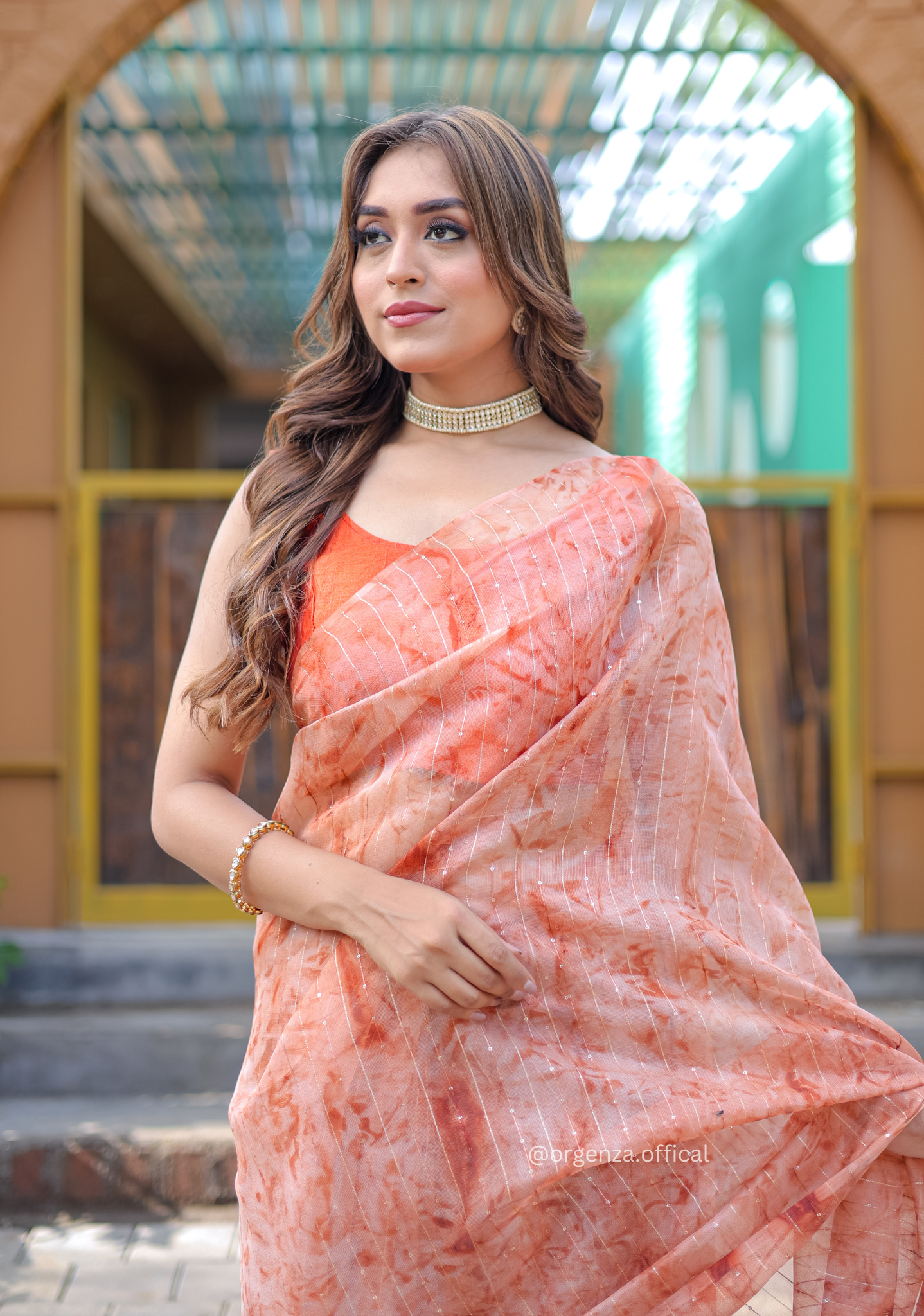 Organza Furr Saree With Sequence Lining - Orgenza Store