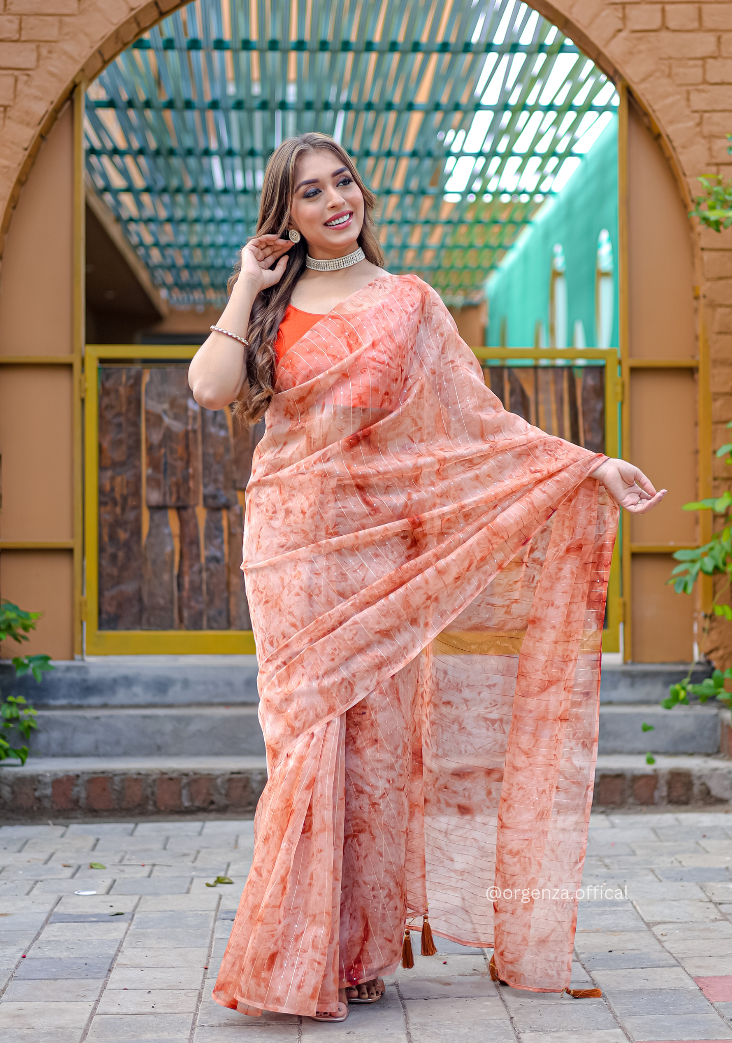 Organza Furr Saree With Sequence Lining - Orgenza Store