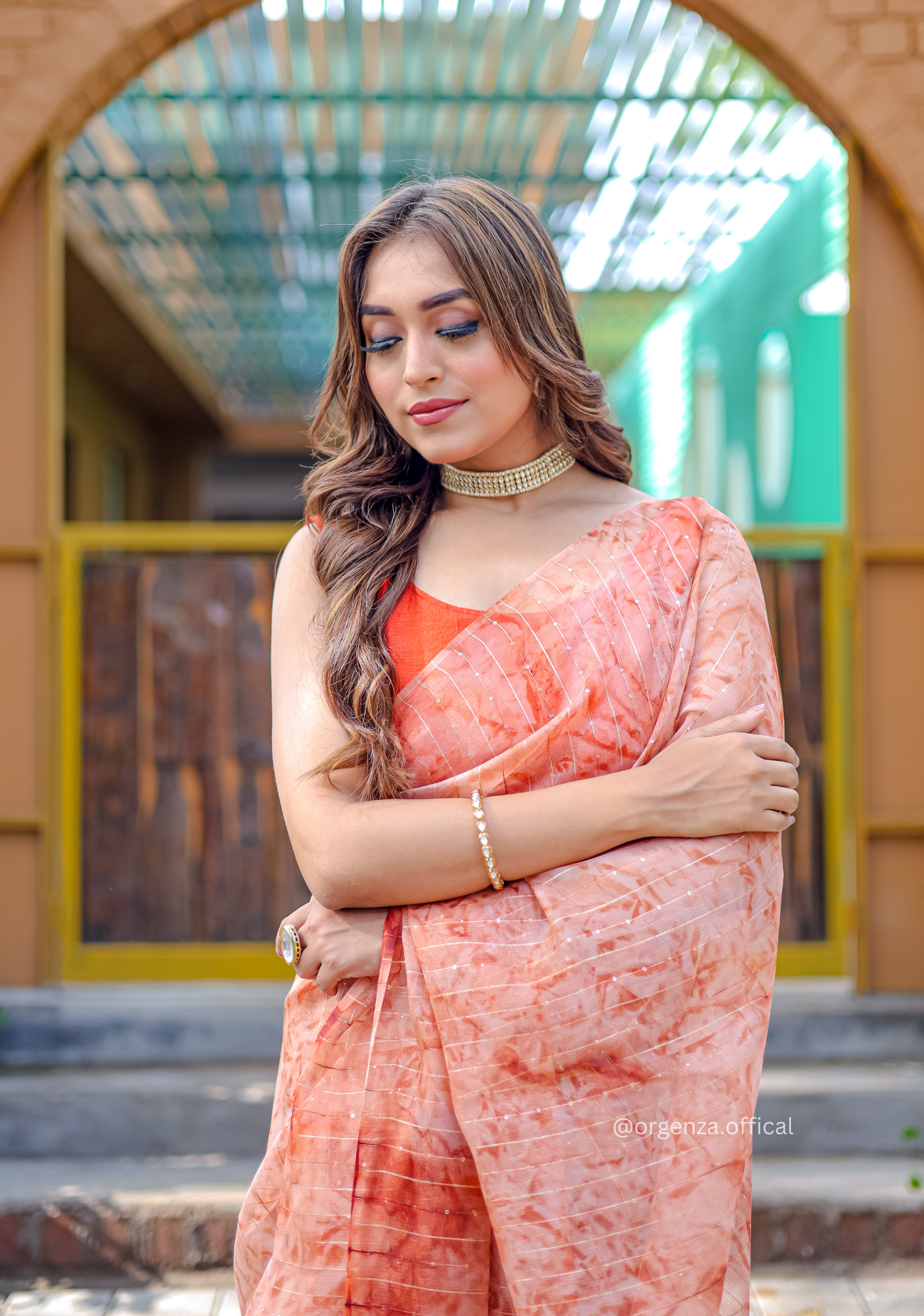 Organza Furr Saree With Sequence Lining - Orgenza Store