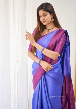 Blue Colour Lichi Silk Saree With Jacquard Zari Work - Orgenza Store - digisoch