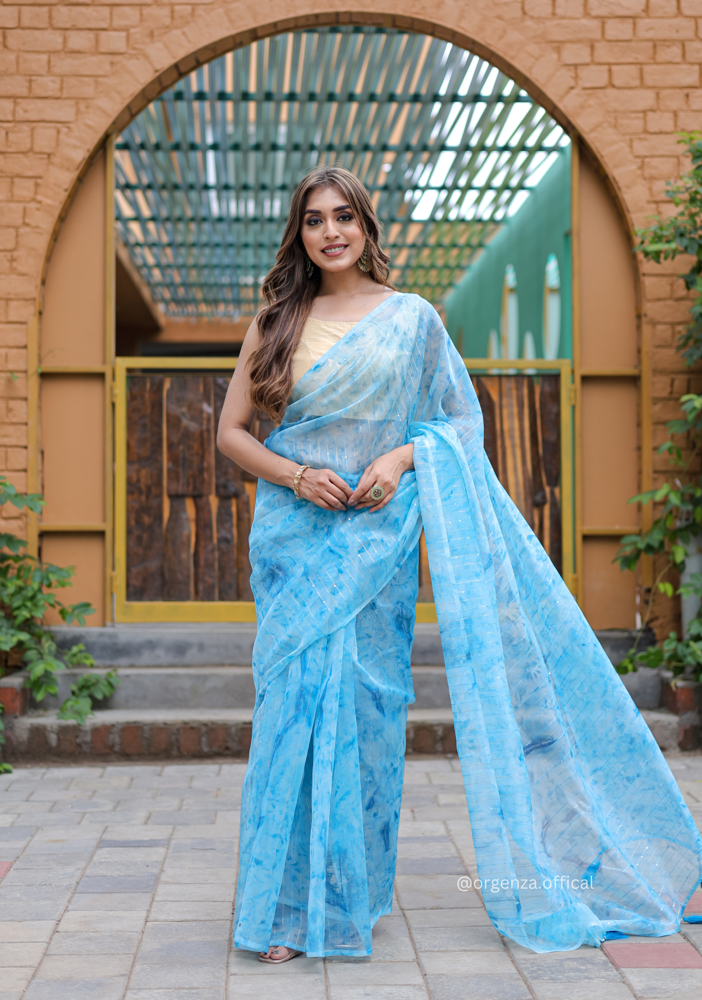 Organza Furr Saree With Sequence Lining - Orgenza Store