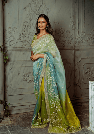 Organza Silk Saree With Beautiful Embroidery Zari Work - Orgenza Store - digisoch