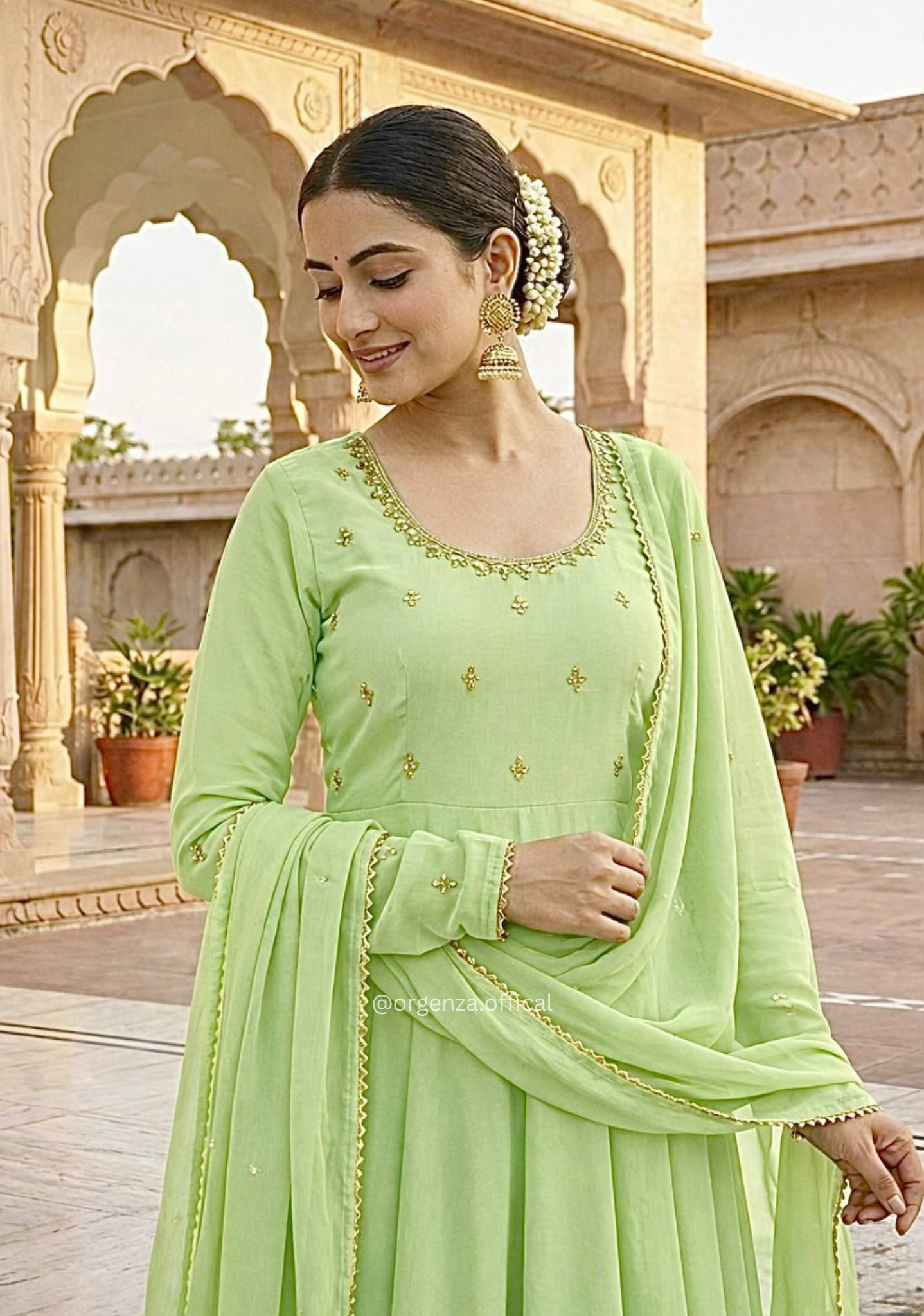 Pista Green Georgette Hand Mirror Embroidered Gown Set