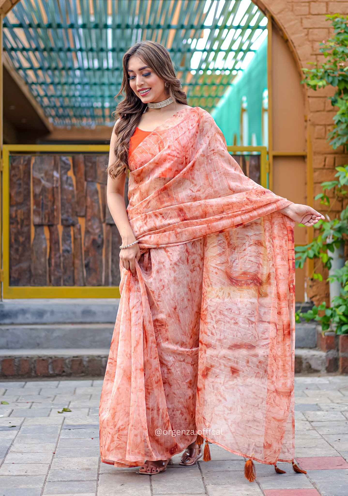 Organza Furr Saree With Sequence Lining - Orgenza Store