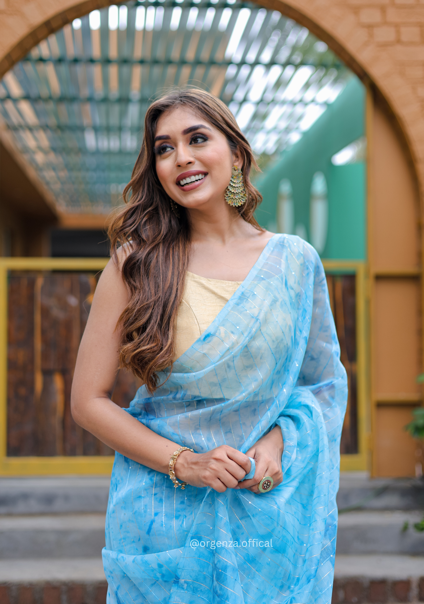 Organza Furr Saree With Sequence Lining - Orgenza Store