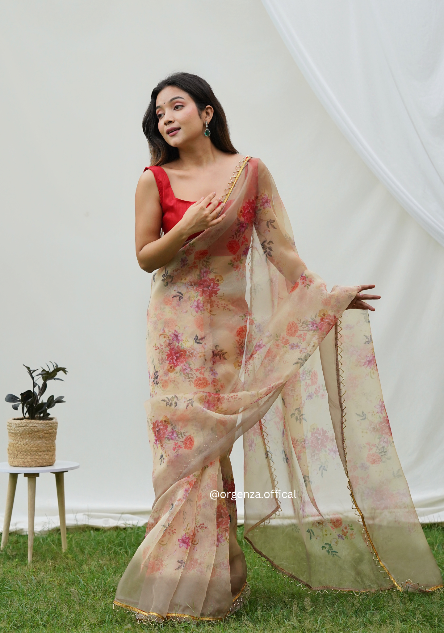 Pure Organza Saree With Heavy Lace Border - Orgenza Store