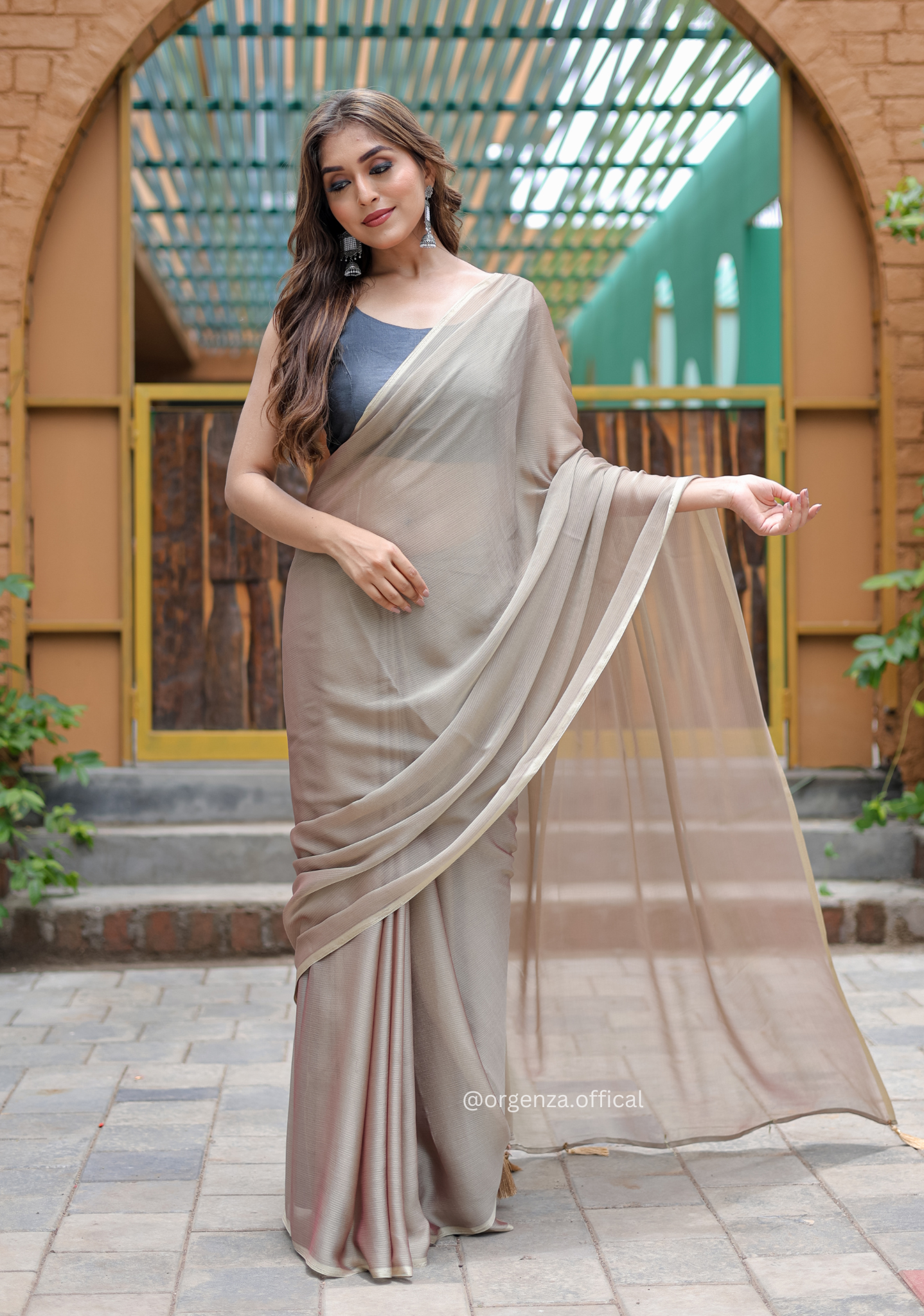 Plain Light Brown Colour Lining Sitara Georgette Saree - Orgenza Store