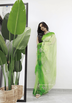 Green Colour Organza Silk Saree - Orgenza Store - digisoch