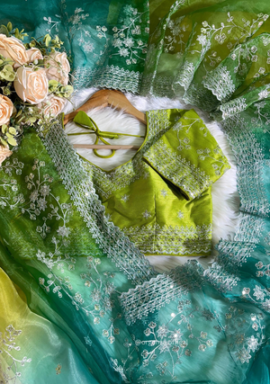 Organza Silk Saree With Beautiful Embroidery Zari Work - Orgenza Store - digisoch