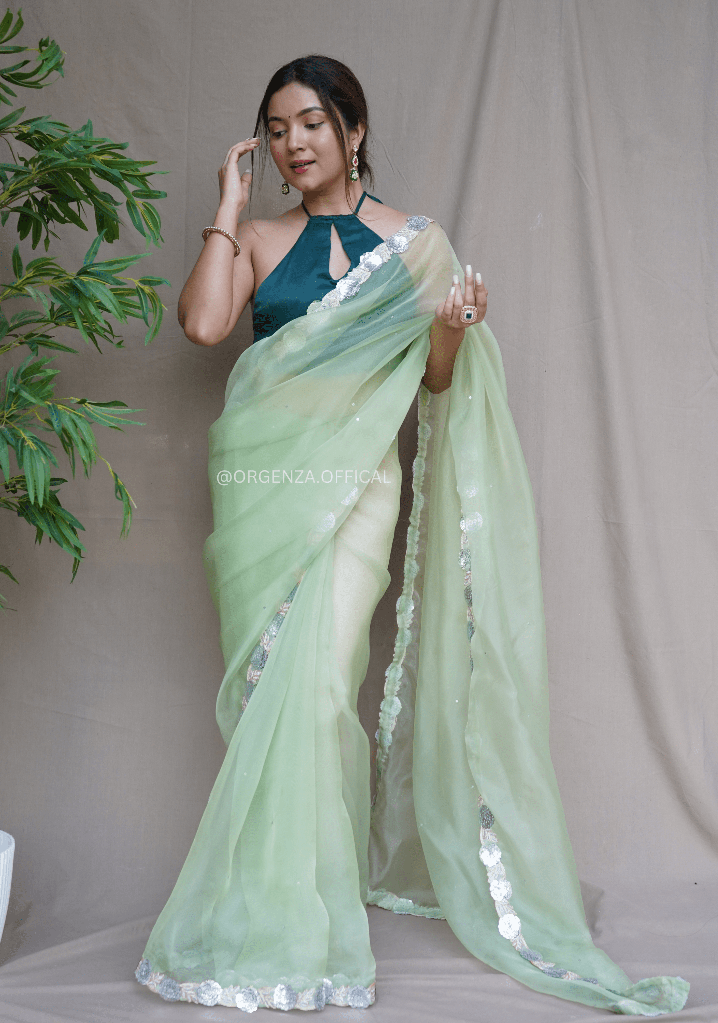 Pure Organza Saree With Fancy Lace Border - Orgenza Store - digisoch