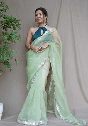 Pure Organza Saree With Fancy Lace Border - Orgenza Store - digisoch
