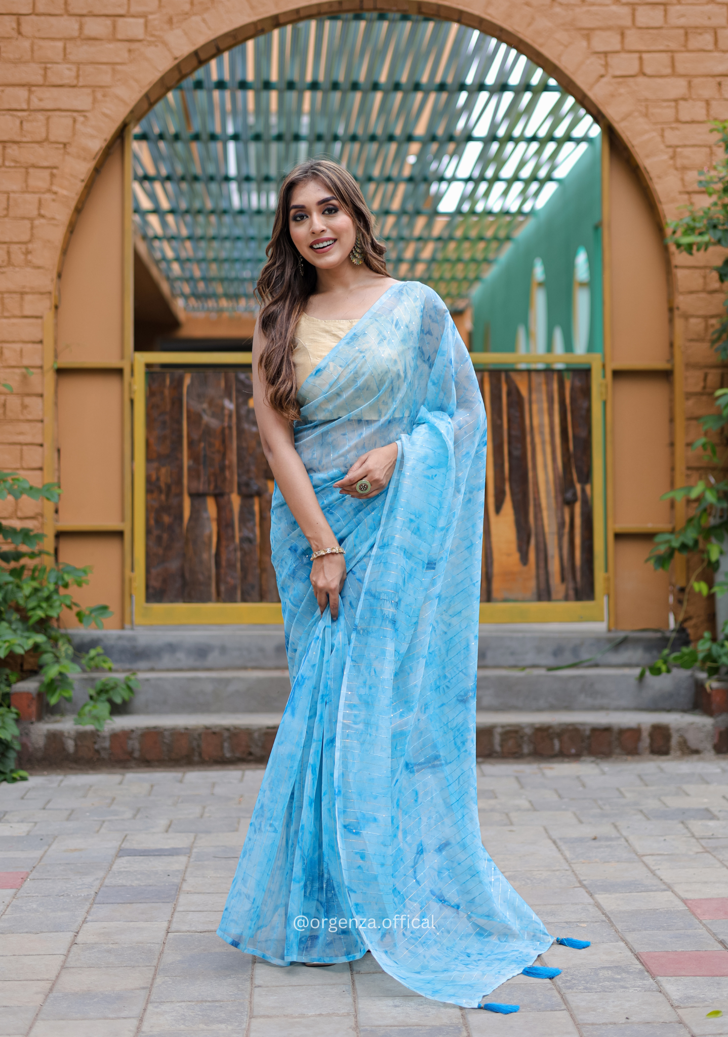 Organza Furr Saree With Sequence Lining - Orgenza Store