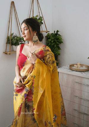 Orgenza Saree With Multi Colour Gotta Work - Orgenza Store - digisoch
