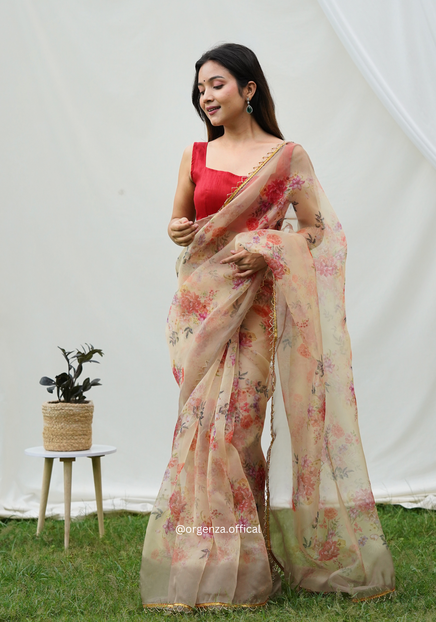 Pure Organza Saree With Heavy Lace Border - Orgenza Store