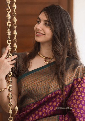 Lichi Silk Saree With Jacquard Zari Work - Orgenza Store - digisoch
