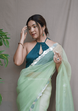 Pure Organza Saree With Fancy Lace Border - Orgenza Store - digisoch