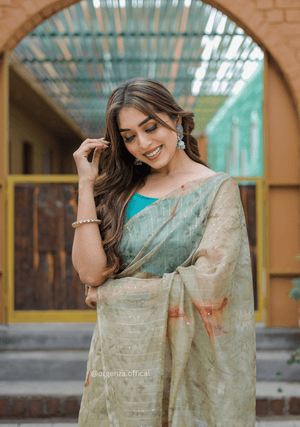 Organza Furr Saree With Sequence Lining - Orgenza Store - digisoch