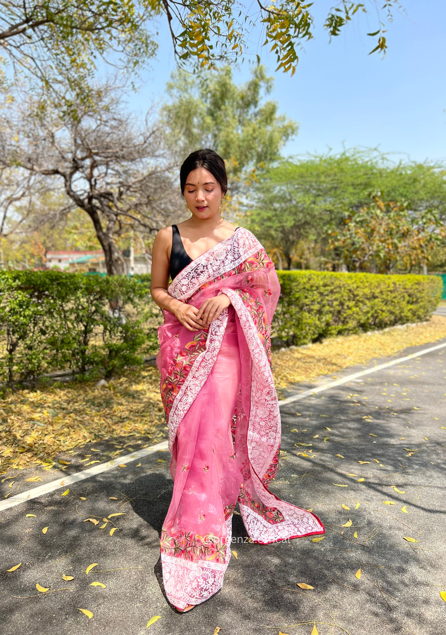 Pink Organza Saree With Chikankari Work - Orgenza Store
