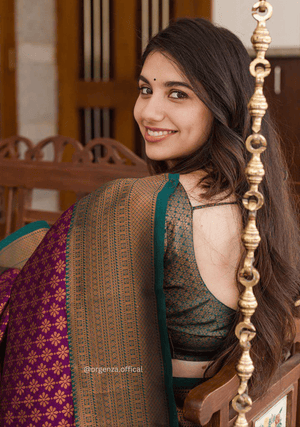 Lichi Silk Saree With Jacquard Zari Work - Orgenza Store - digisoch