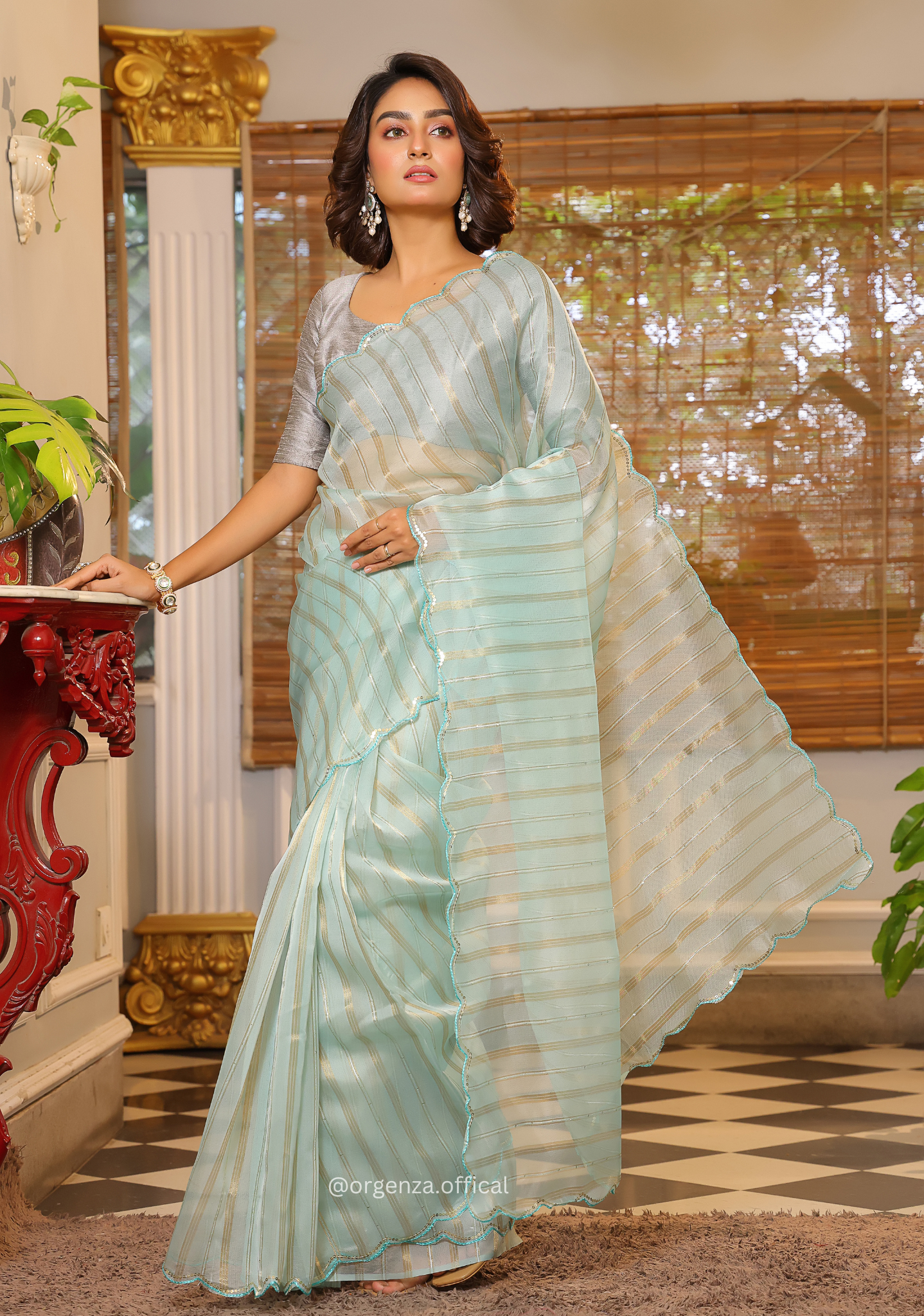 Sky Blue Organza Saree With Weaved Work - Orgenza Store