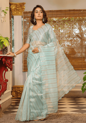 Sky Blue Organza Saree With Weaved Work - Orgenza Store - digisoch