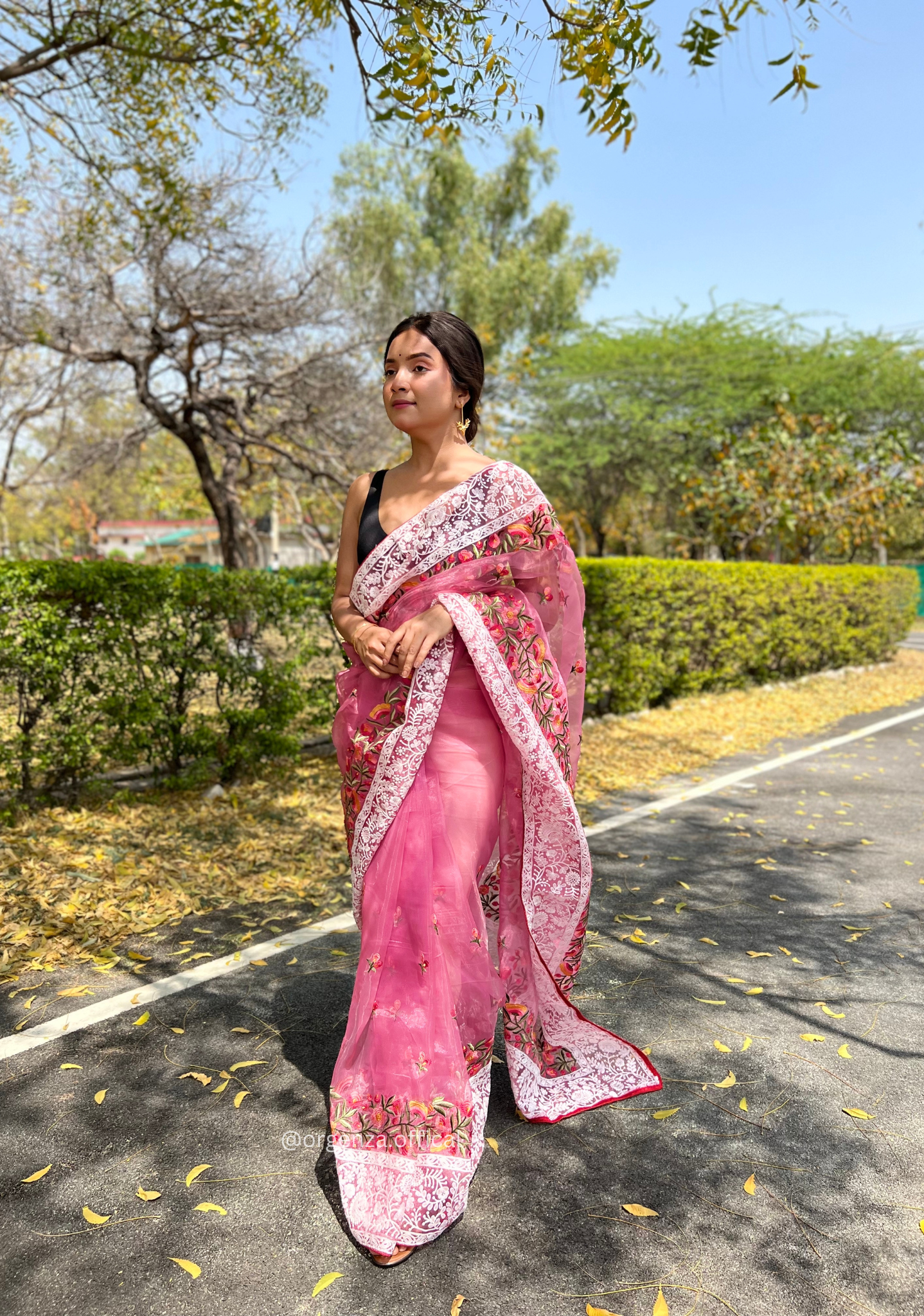 Pink Organza Saree With Chikankari Work - Orgenza Store