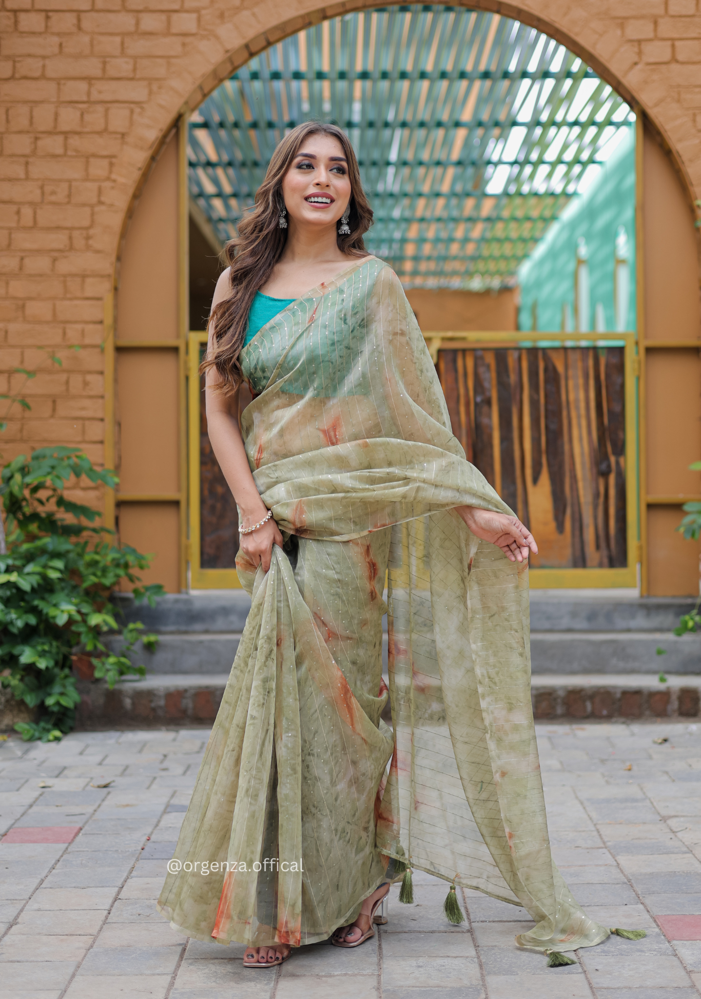 Organza Furr Saree With Sequence Lining - Orgenza Store