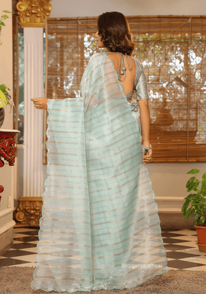 Sky Blue Organza Saree With Weaved Work - Orgenza Store - digisoch