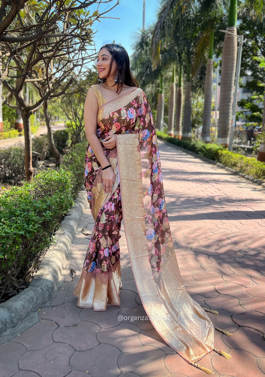 Brown Georgette Saree With Viscose Border