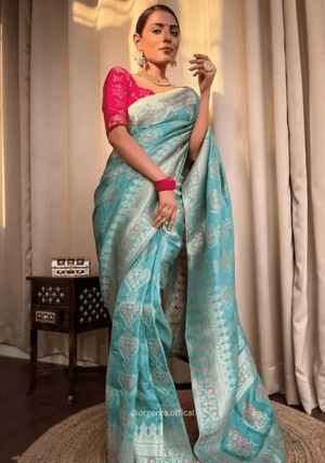Lichi Silk Saree With Jacquard Zari Work - Orgenza Store - digisoch