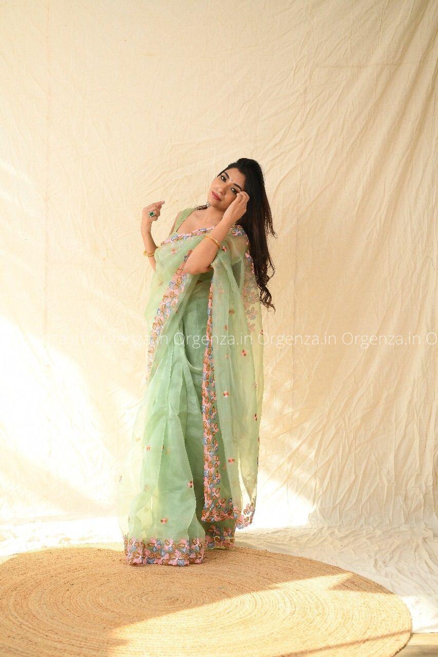 Best Pista Color Soft Organza With Thread Work - Orgenza Store